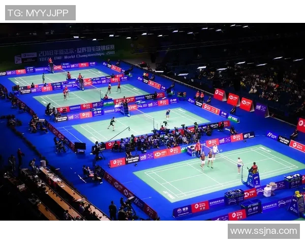 南京羽毛球队在全国锦标赛中的状态分析与表现评估 南京羽毛球队在全国锦标赛中的状态分析与表现评估