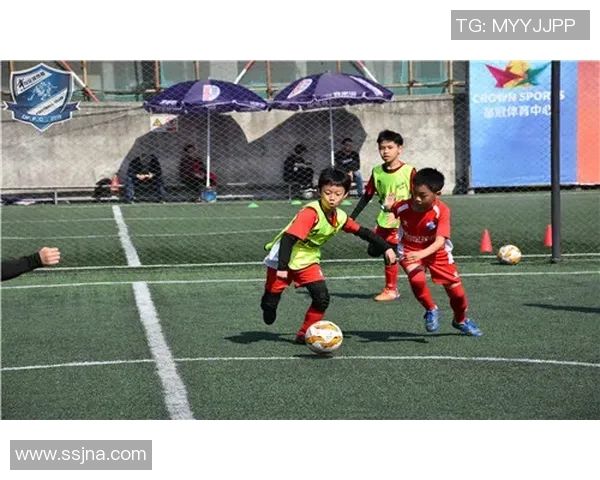 深圳足球队心理素质排名第七引发关注球队表现备受期待